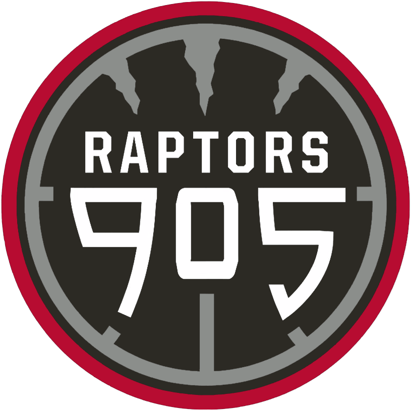 Raptors 905 2015-Pres Primary Logo iron on heat transfer